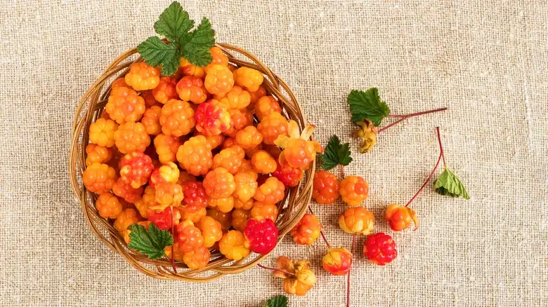 Cloudberries Are Whimsical Fruits That You'll Be Lucky To Try