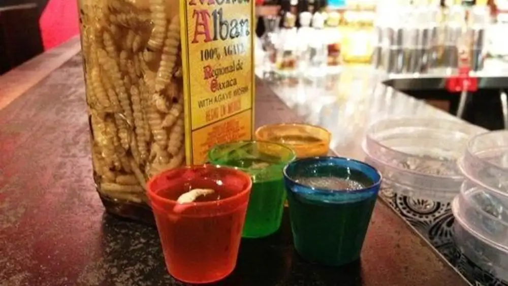 ¿Cuánto cuesta el tequila Wormy? Precios de Gusano Rojo 2026