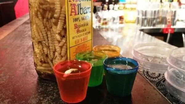 ¿Cuánto cuesta el tequila Wormy? Precios de Gusano Rojo 2026