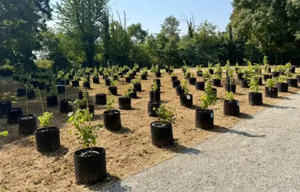 Vines as a treatment option in hospitals: the “Rivìtere” therapeutic vineyard inaugurated in Orbassano
