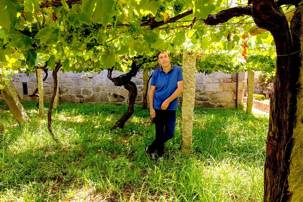 Albariño, los vinos blancos que envejecen con elegancia