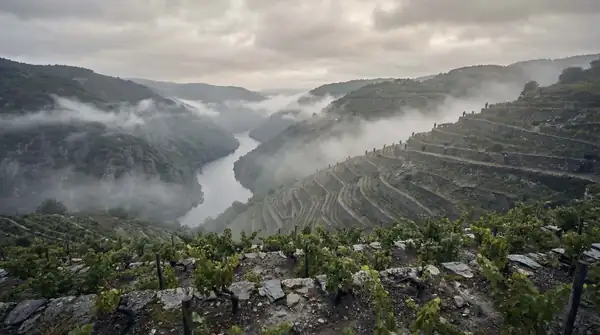 Lugo, a wine tourism destination: the place of extreme landscapes and wine culture that you must visit