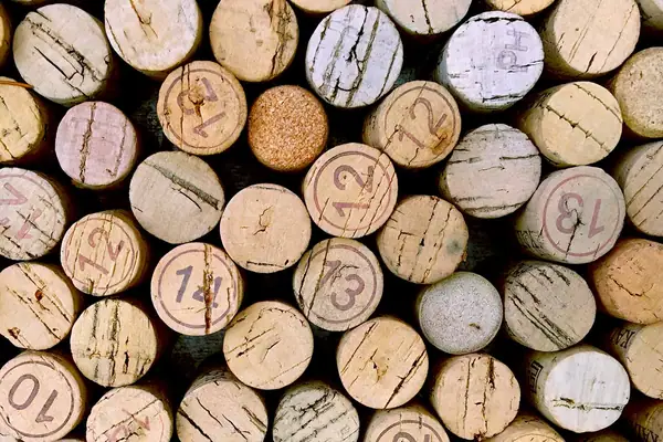 Los mejores abridores de vino eléctricos de 2022
