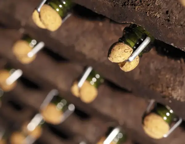 Mestres, the sparkling wines that the best restaurants are vying for
