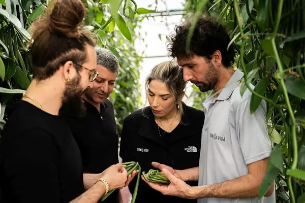 Exclusive: Vanilla Vida celebrates “world’s first’ large-scale indoor vanilla harvest