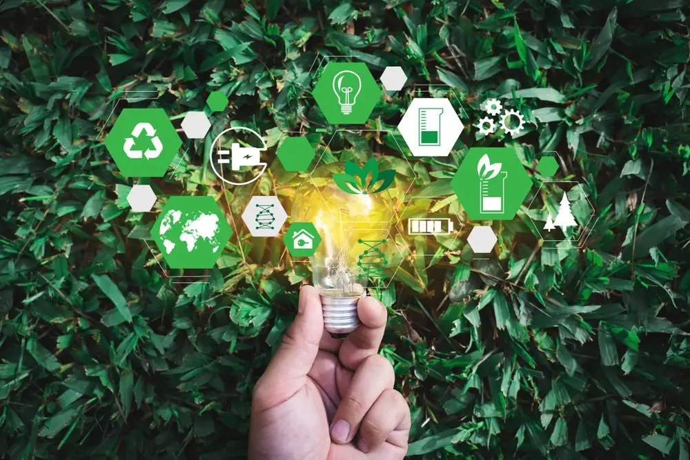 VilCap Offers 3 Pieces of Advice on Approaching Innovation for a Sustainable Food Future in New Report