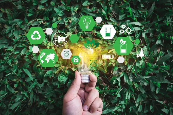 VilCap ofrece 3 consejos sobre cómo abordar la innovación para un futuro alimentario sostenible en su nuevo informe