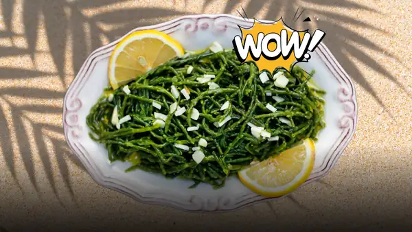 Small, crunchy, and packed with nutrients: this is why sea asparagus has become the secret ingredient most loved by great Italian chefs
