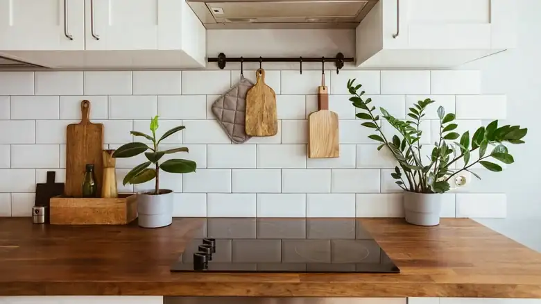 Why There Should Always Be A Cup Of Vinegar On Your Kitchen Counter