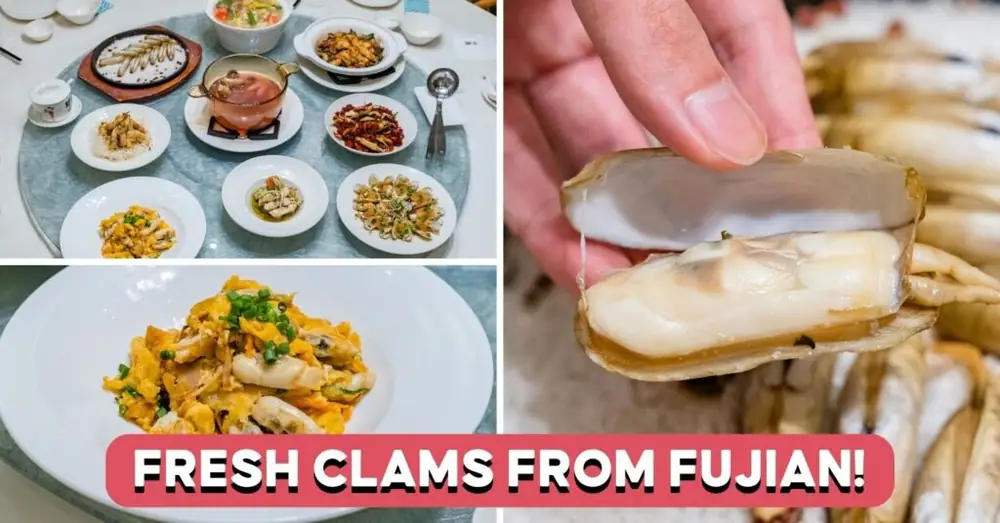 PUTIEN Popular Duotou Clams Return