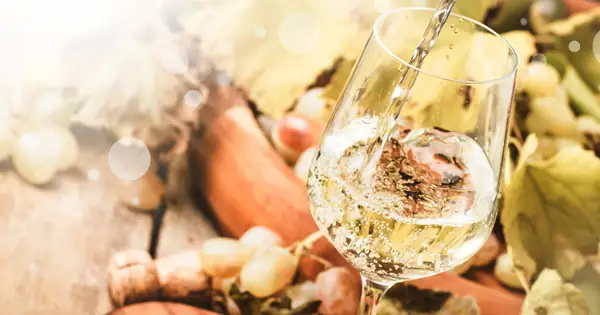 Cape Wine Partners se hace cargo de la distribución de Steenberg Vineyards