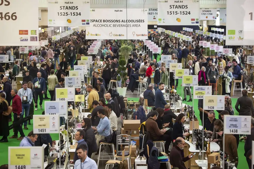 IMW declares seven new Masters of Wine