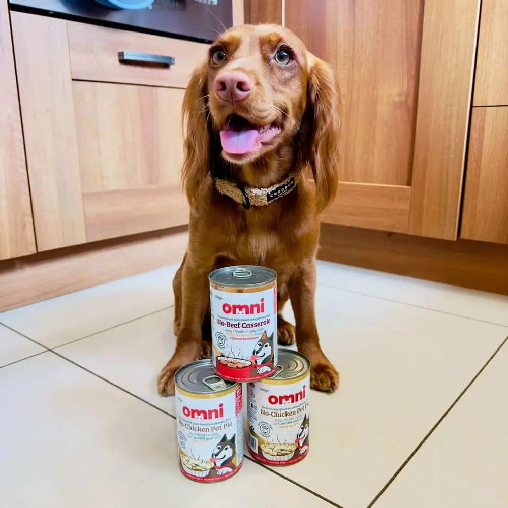 Vegan Dog Food Market Poised for Explosive Growth, Reaching $31.48Bn by 2029