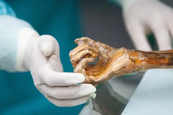 Científicos elaboran pan de masa madre utilizando levadura encontrada en una momia de 5.000 años de antigüedad