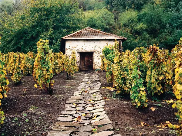 Hungary's Forgotten Wine Region is Finally Getting the Respect it Deserves
