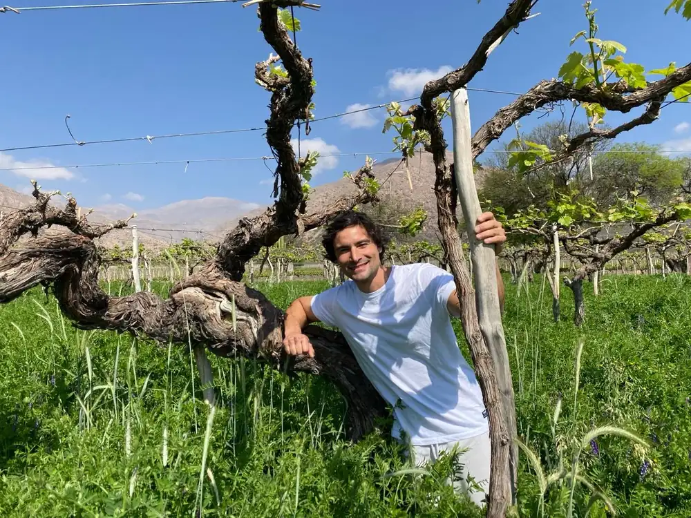 Pancho Lavaque, working a historic heritage of vineyards