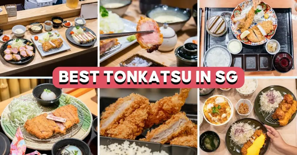 10 Best Tonkatsu In Singapore, Including $10 Sets And A Korea-Famous Eatery