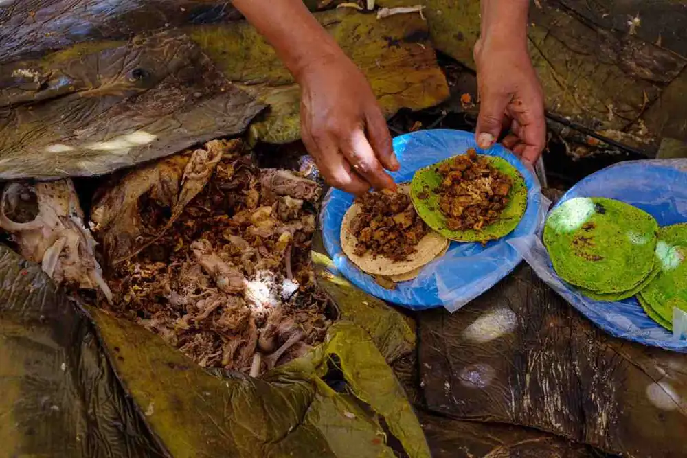 Students create app to promote the Barbacoa and Pulque route