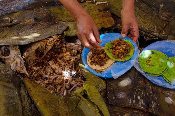 Students create app to promote the Barbacoa and Pulque route