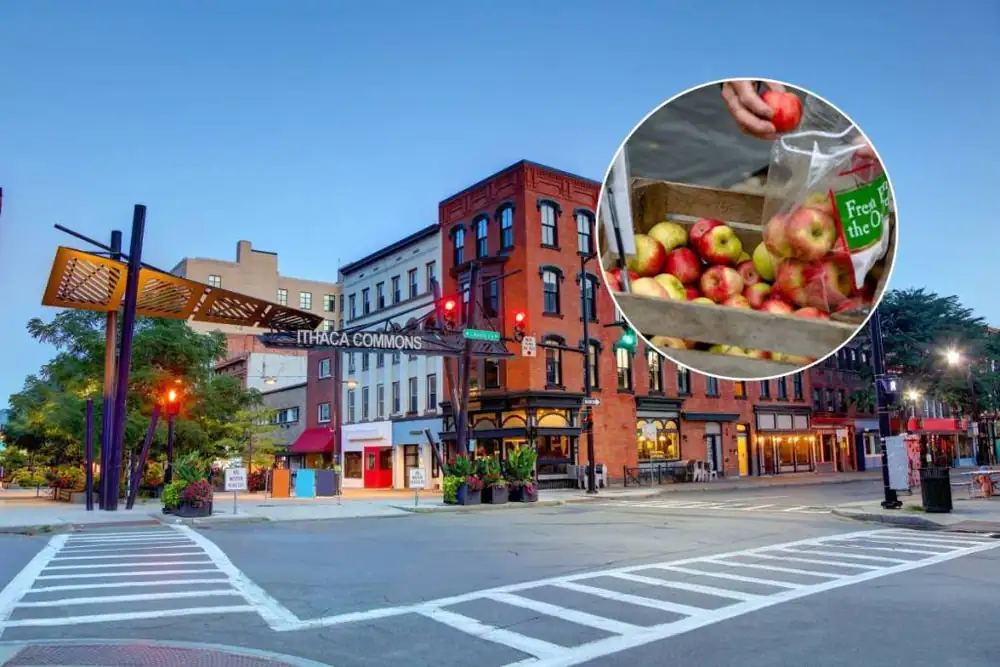 Esta ciudad universitaria de Finger Lakes cerrará su famoso centro para un festival de tres días dedicado a las manzanas y los donuts de sidra