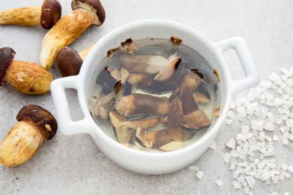 El rey de la temporada: ¿qué cocinar con setas porcini?