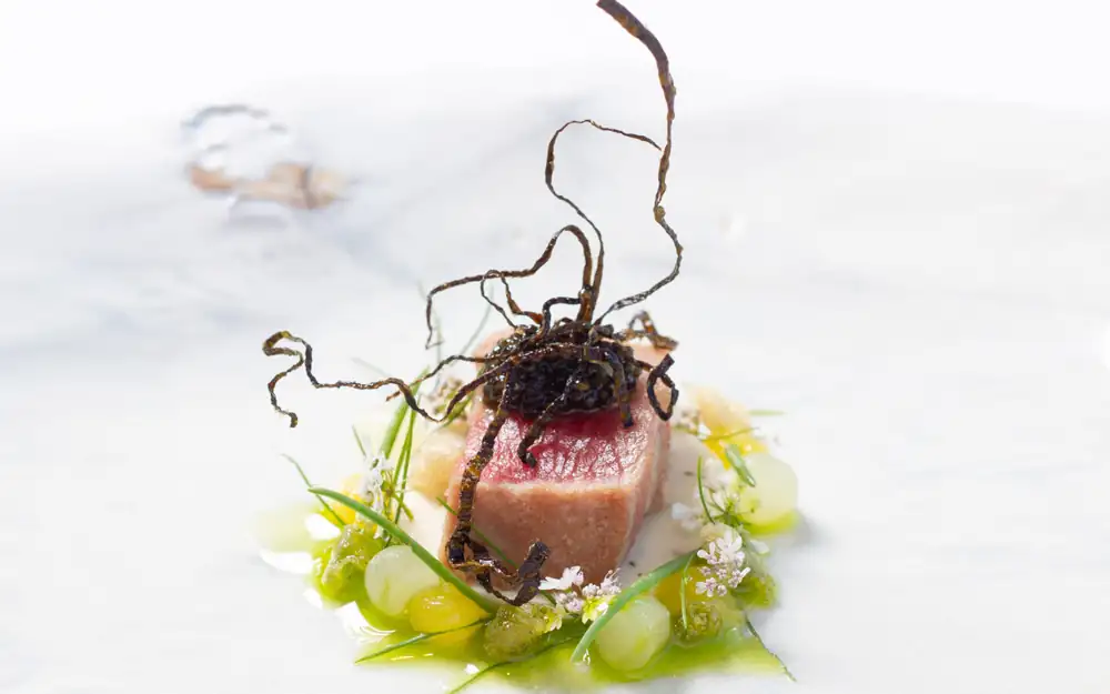 Mystic, in Halifax harbor, serves signature menus with an Atlantic flavor
