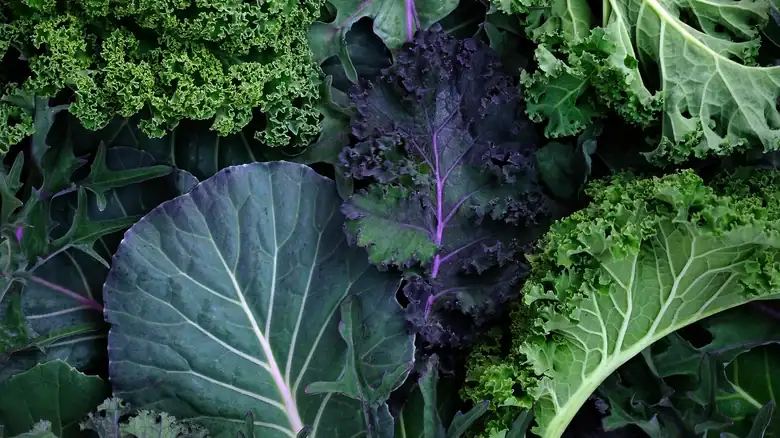 13 Tips For Making Kale Actually Taste Good