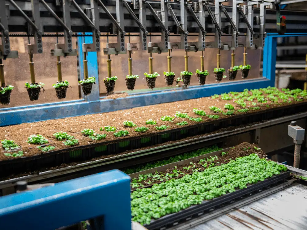 ÚLTIMA HORA: Soli Organic consigue 125 millones de dólares para expandir la agricultura vertical basada en suelo en todo Estados Unidos