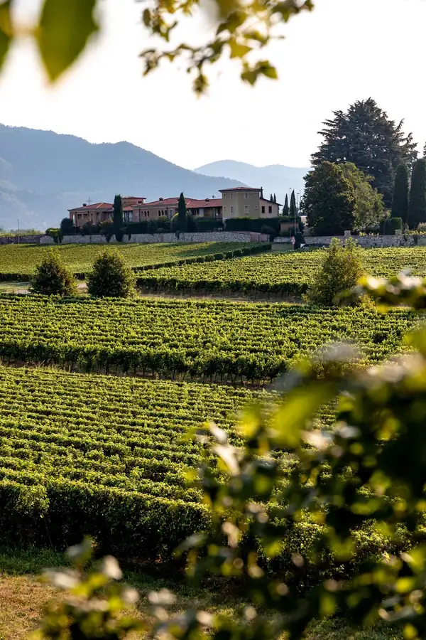 Franciacorta