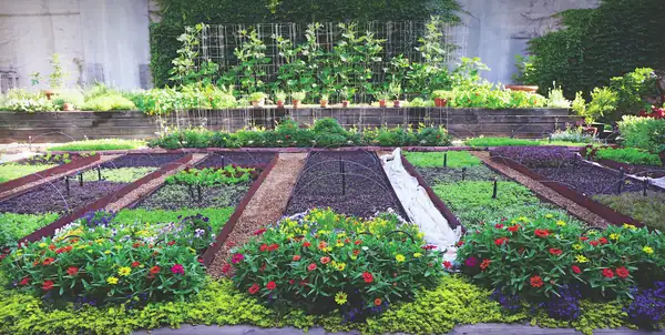 Los Jardines Bayless, un huerto elevado en Bucktown que abastece a los restaurantes de Rick