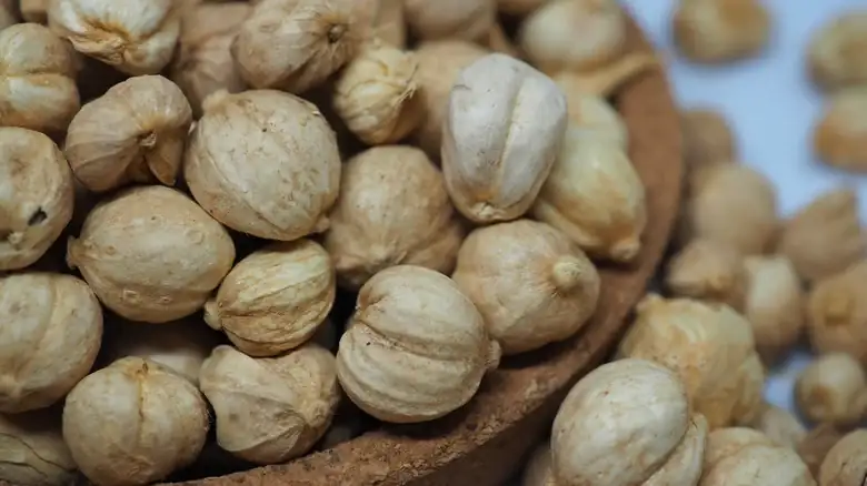 The practical reason why green cardamom is bleached