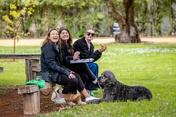 Coonawarra wineries pair November tastings with dog-friendly trails and morning yoga