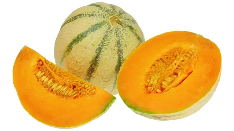 The Delectable Charentais Melon Is Revered By A Small French Town