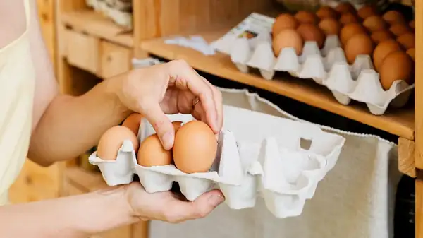 Cracking The Code On Pasture-Raised And Organic Eggs: Which One Is Better Quality?