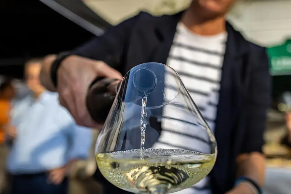 Unwritten rules for a wine tasting at the winery