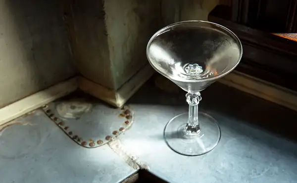 The Best Gin Martini Cocktail Recipe