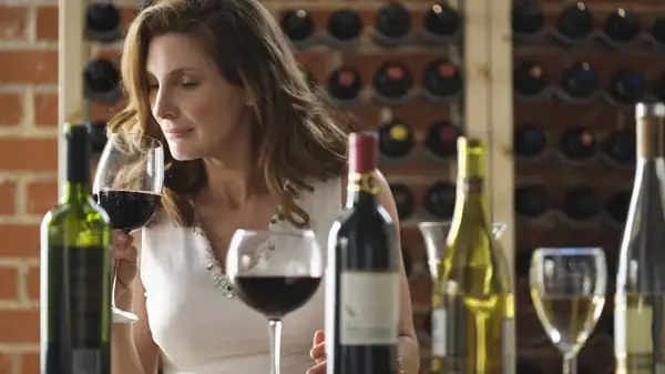 What are tannins and how do they influence wine?