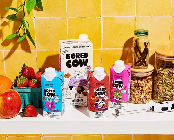 Bored Cow Launches “First of its Kind” Animal-Free Yogurt Made with Fermented Proteins