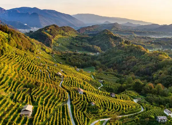 La Ruta del Vino Conegliano Valdobbiadene cumple 60 años