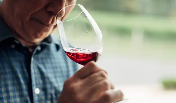 Cómo catar vino paso a paso, de la vista al sabor