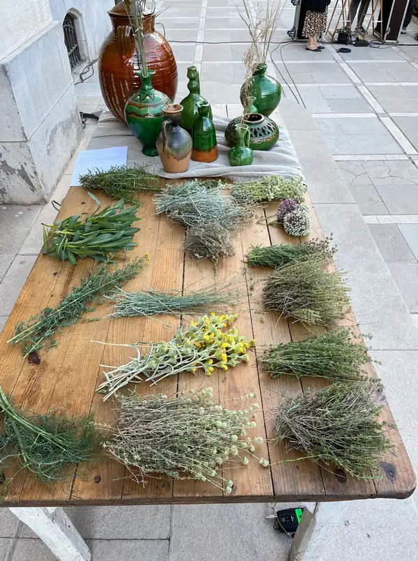 The herbalist to the stars