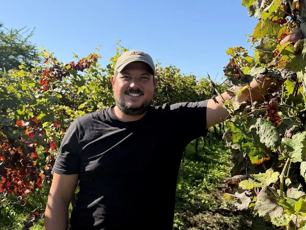 A winemaker who has no time for wine: Adam needs to go all out now