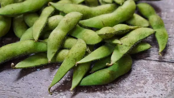 Can You Eat Edamame Pods?