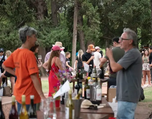 Vivo Vino, con grifo abierto de vinos orgánicos y una copa gratis, en el Parque San Martín el 19/9