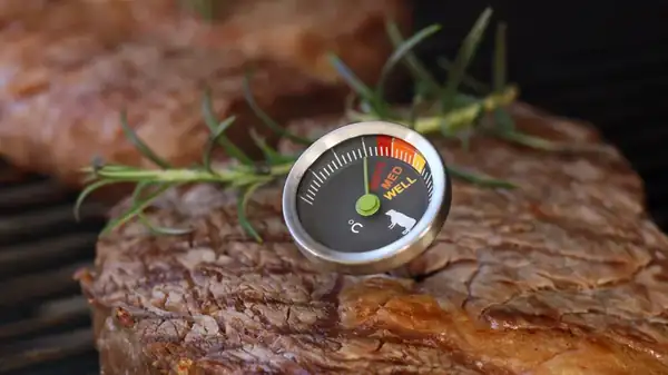 The Temperature Rule To Follow That Kills Bacteria In Your Beef