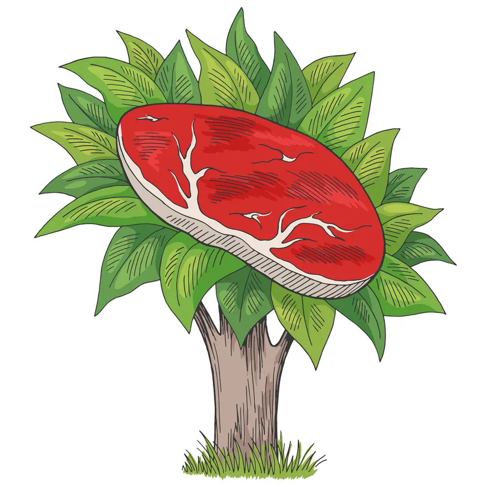 Datos sobre productos de origen vegetal (EE. UU.): Continúa el descenso en el consumo de carnes alternativas, pero hay noticias más positivas para los productos lácteos alternativos