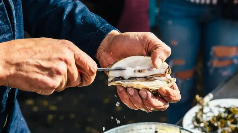 The Best Way To Shuck Oysters Without A Knife Is Also Pretty Convenient