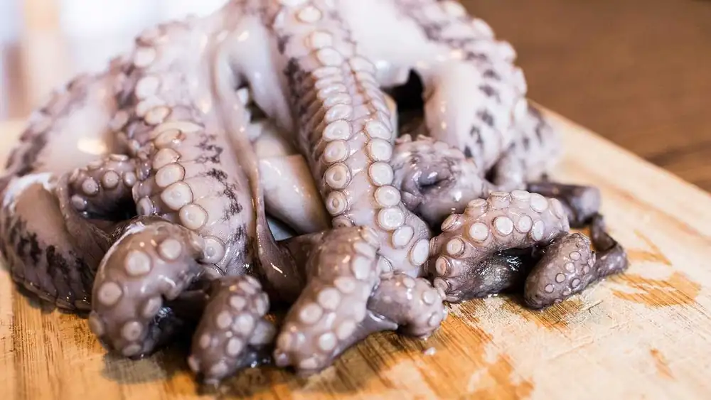 La canción de crítica del verano trata sobre pulpo crudo