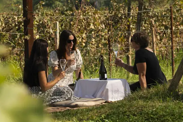 Calendario de vinos: Franciacorta en la bodega, Gustus en Vicenza