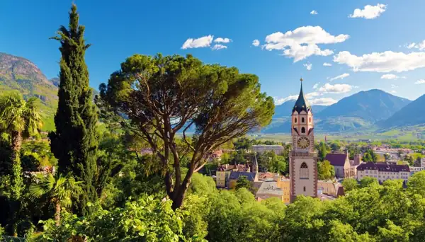 The grape and wine festivals not to be missed in Italy this year